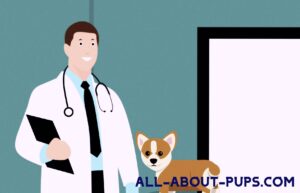 Tips For New Puppy Owners - Find a Great Veterinarian to Keep Your Puppy Healthy