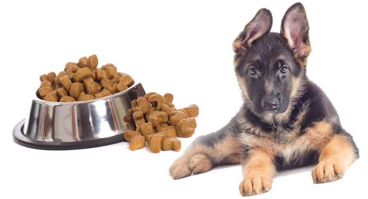 Best Puppy Food For German Shepherd