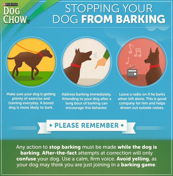 dog barking how to stop