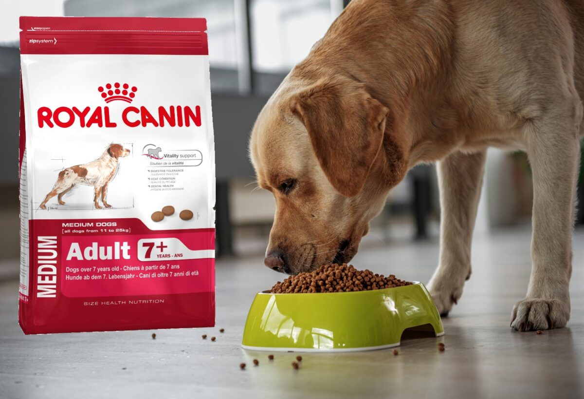 Royal Canin dog food healthy nutrition for your pet