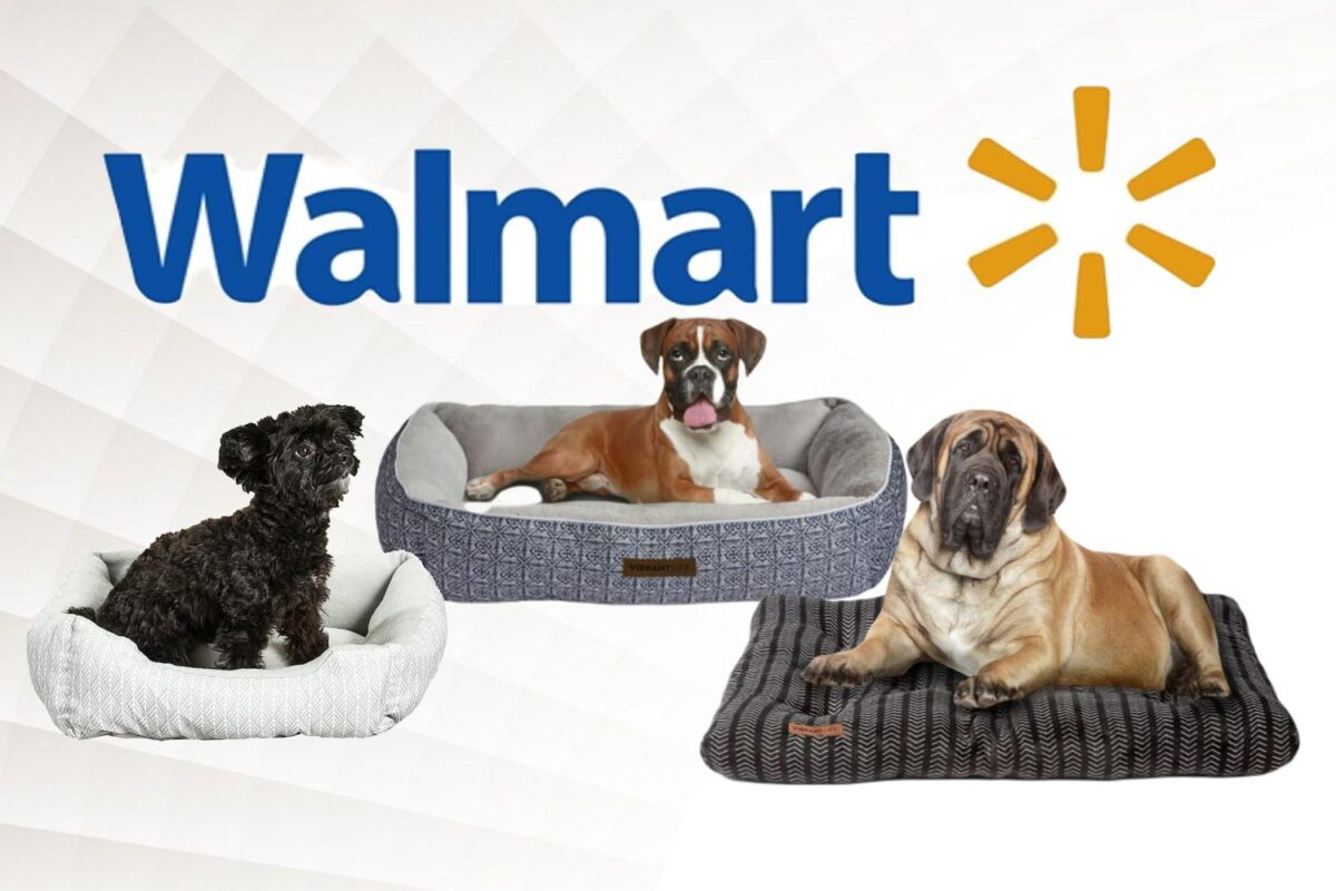 Best Dog Beds Walmart