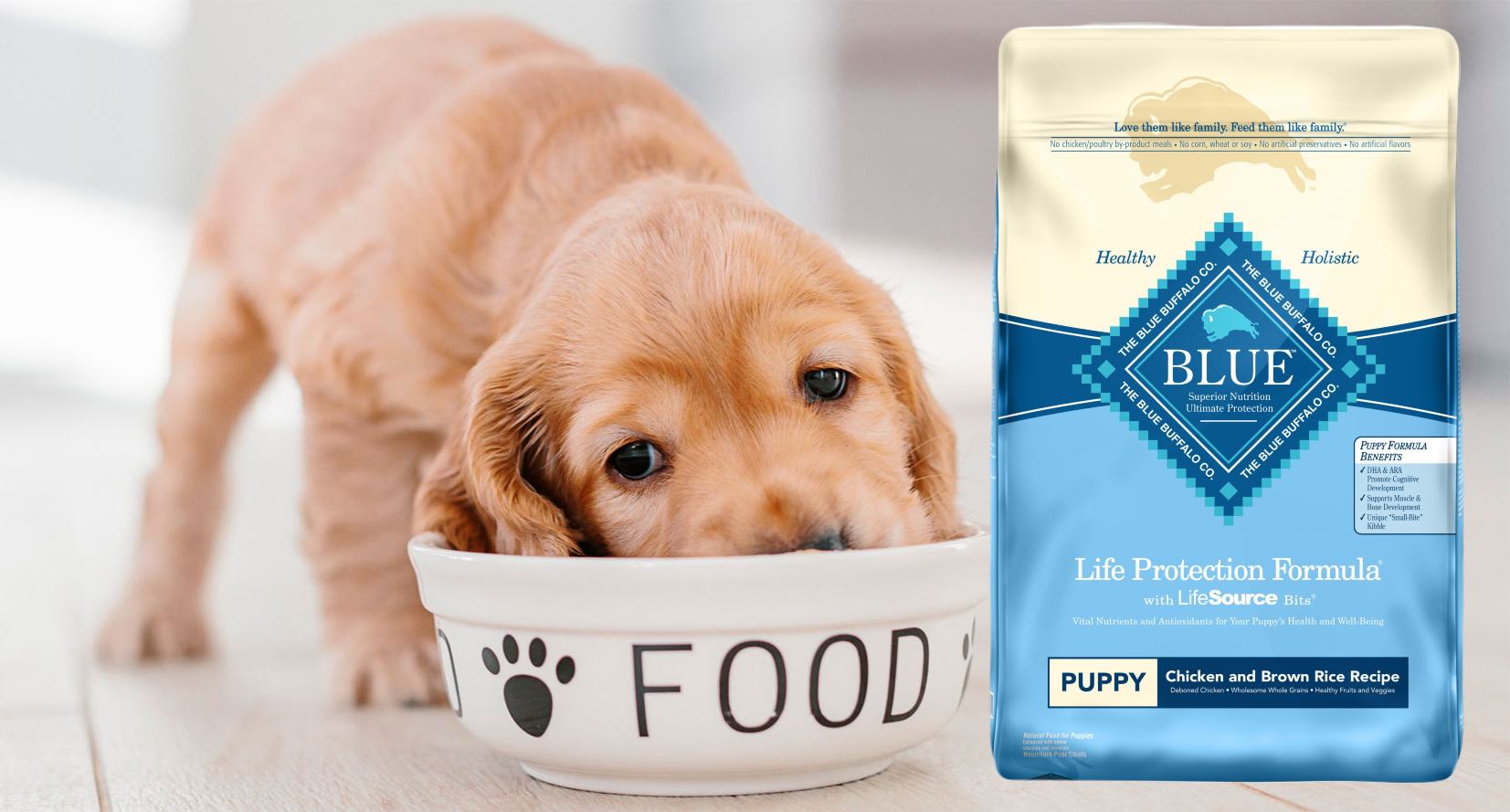 Blue Buffalo Puppy Food: Natural, Reviews & Formula - All About Pups