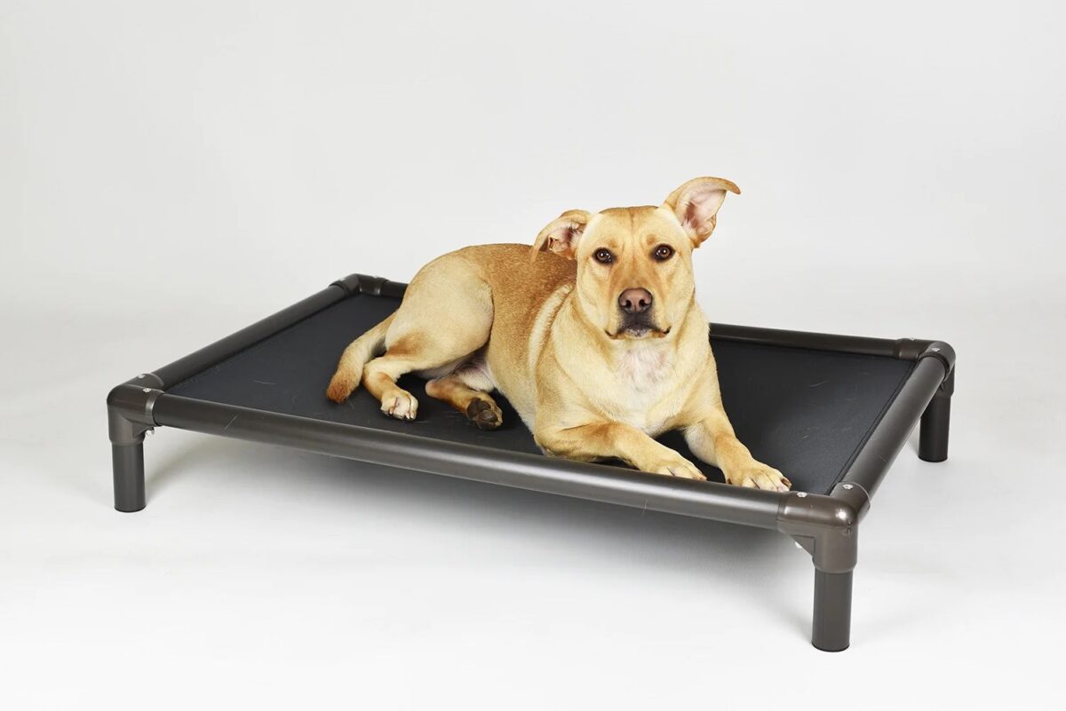 Chew proof dog bed