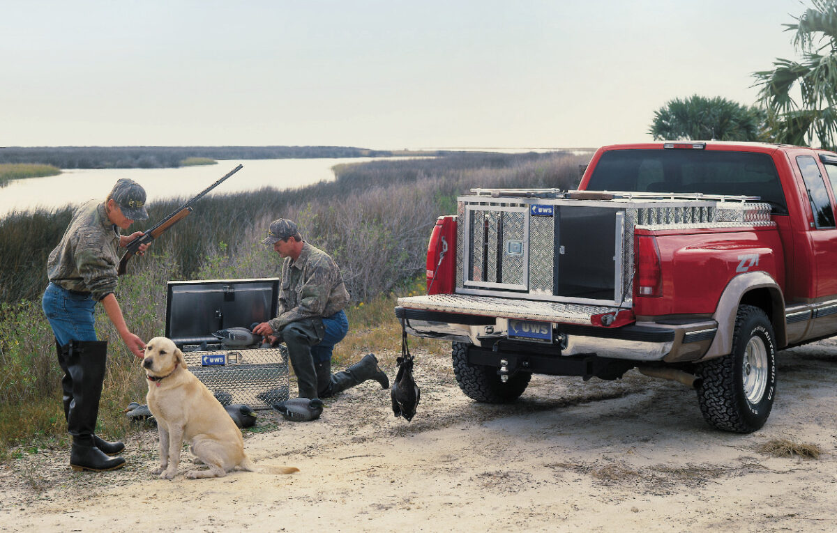 Dog Box For Truck - Expert Reviews & Buying Guide