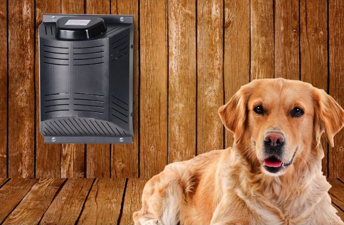 Dog House Heater