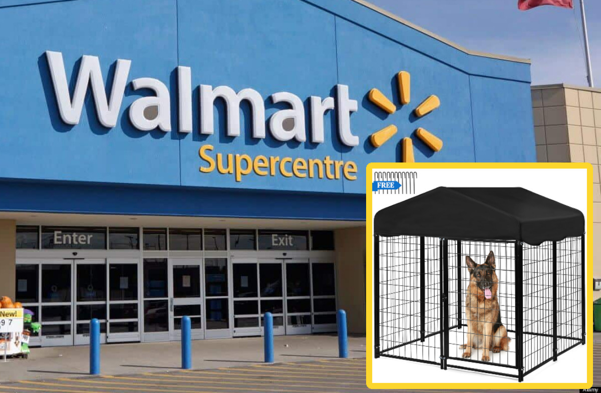 Dog Kennel Walmart