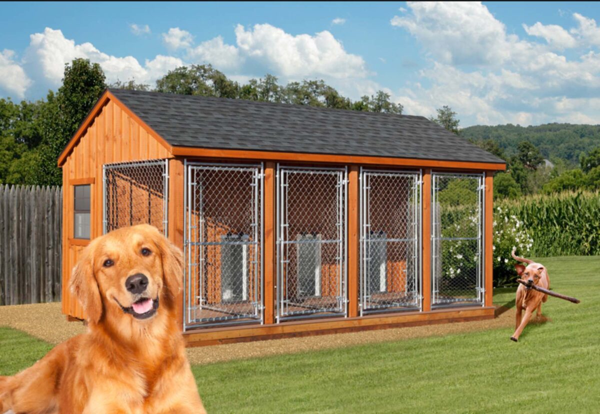 Dog Kennels For Sale