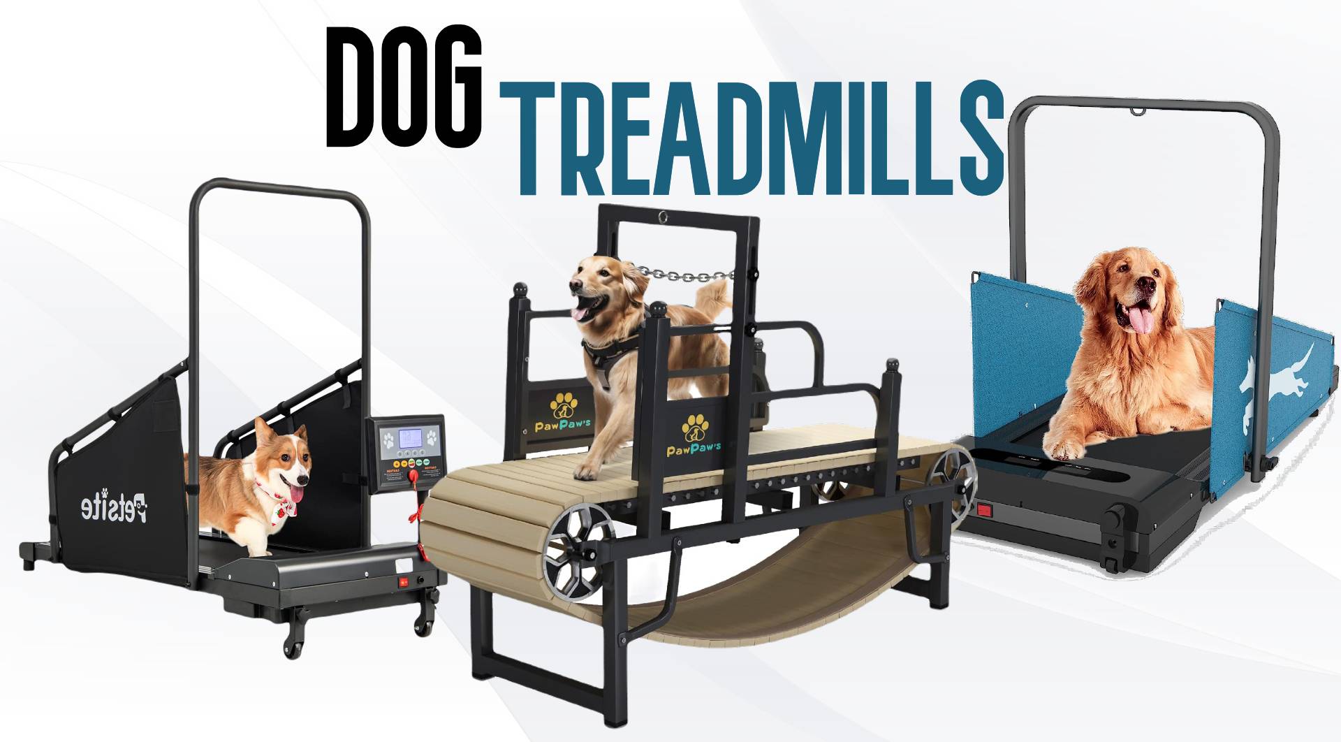 Dog Treadmills 2023: Get Your Pup Fit! - All About Pups