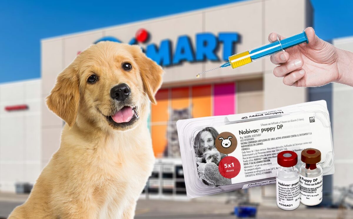 How much do puppy shots cost at petsmart?