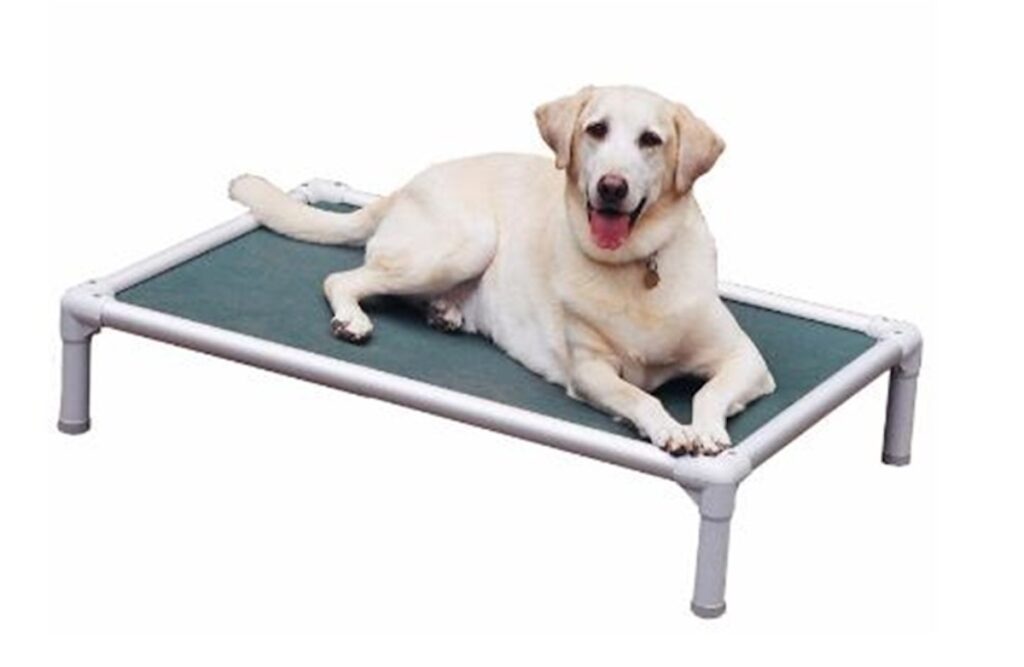 Kuranda dog bed with Labrador