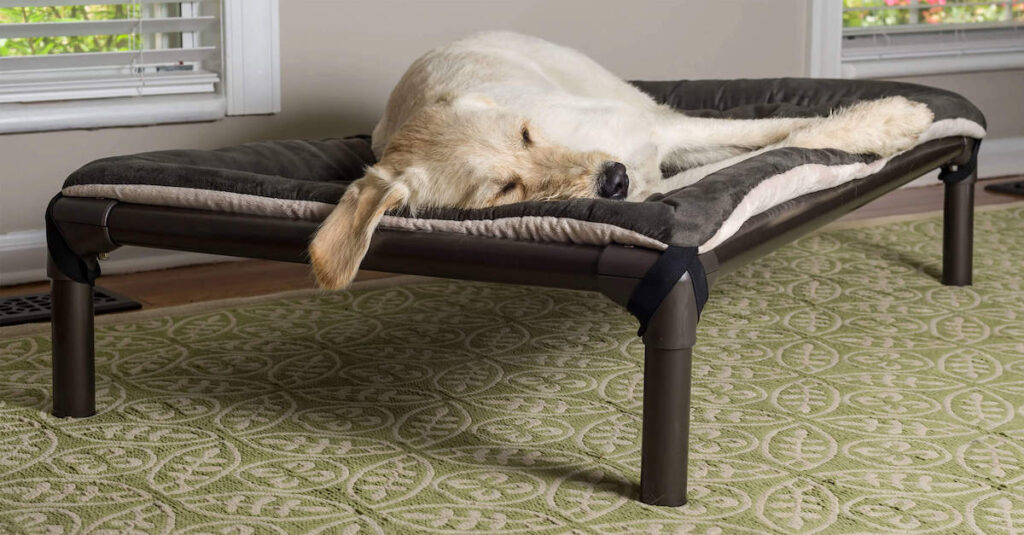 Kuranda dog bed with sleeping dog