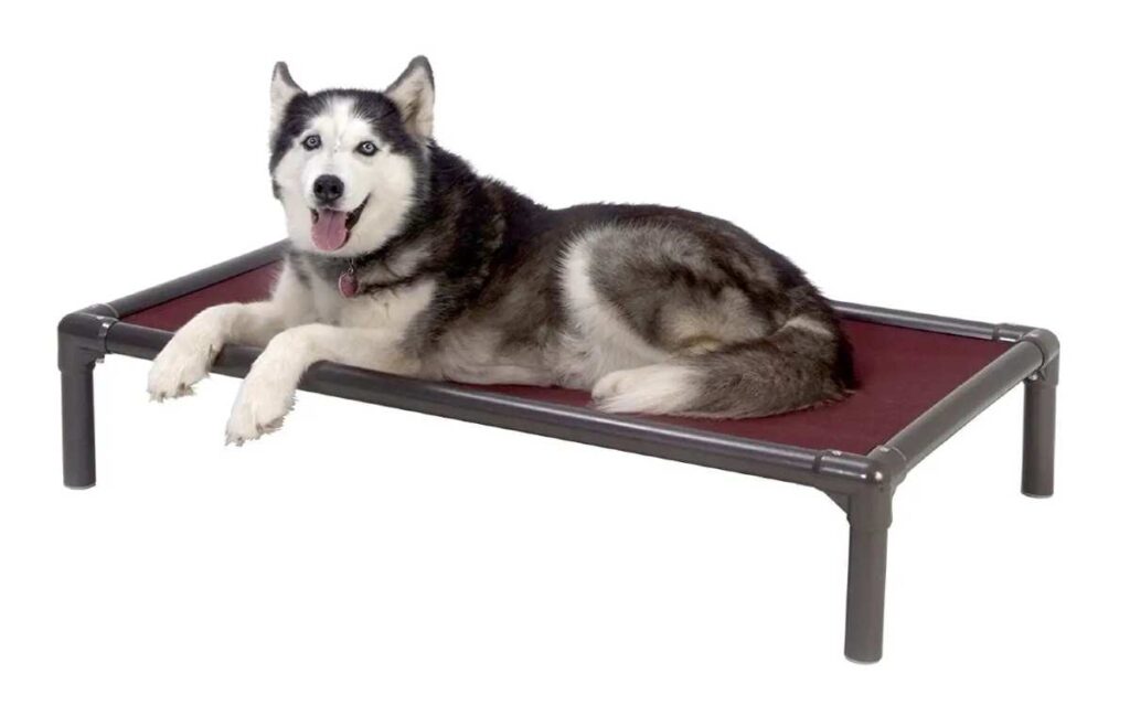 Chew-proof raised dog bed with Husky