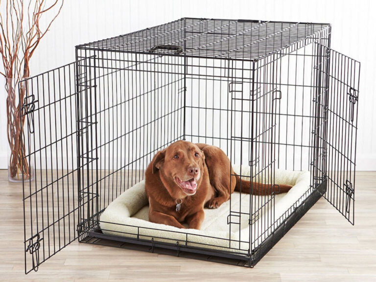 Puppy Crate Training Schedule: Our ULTIMATE Guide! - All About Pups