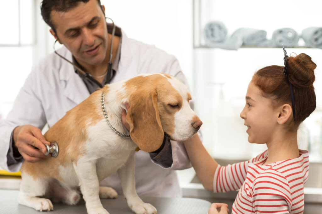 Puppy vet visits