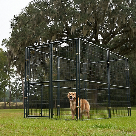 Retriever dog kennel product photo with Golden Retriever dog