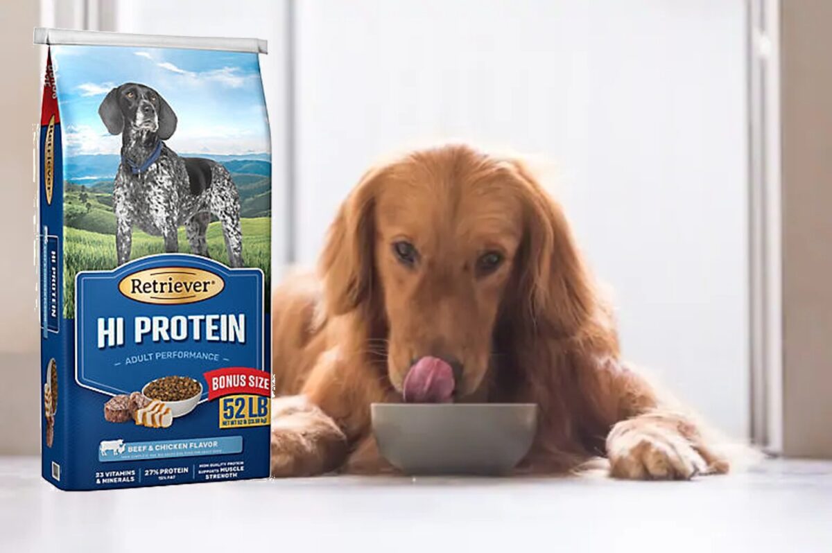 Retriever hi protein dog food