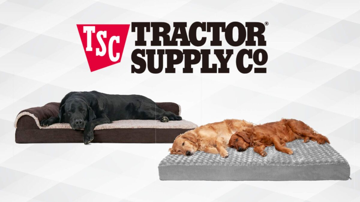 Tractor Supply Dog Beds