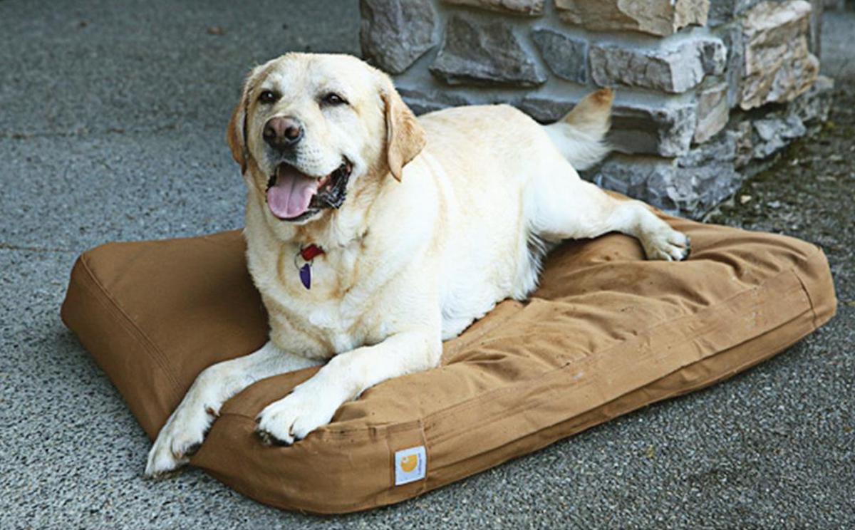 Couch Slipcover For Dogs And Cats - 100-percent Waterproof And Washable -  3-cushion Pet Sofa Furniture Cover With Non-slip Straps By Petmaker (brown)  : Target