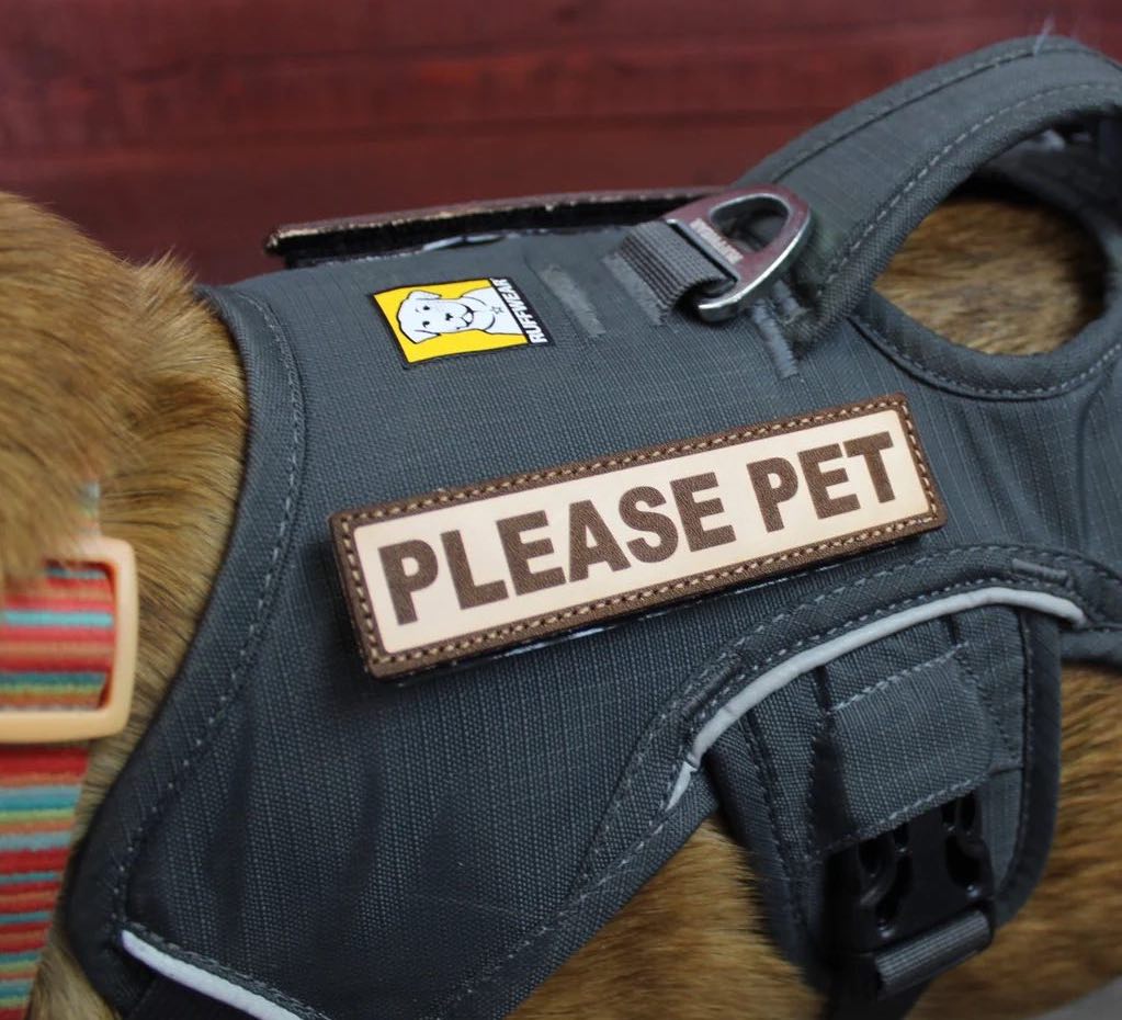 dog patches