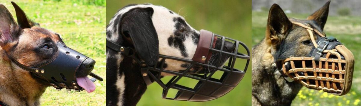 muzzle dog muzzles