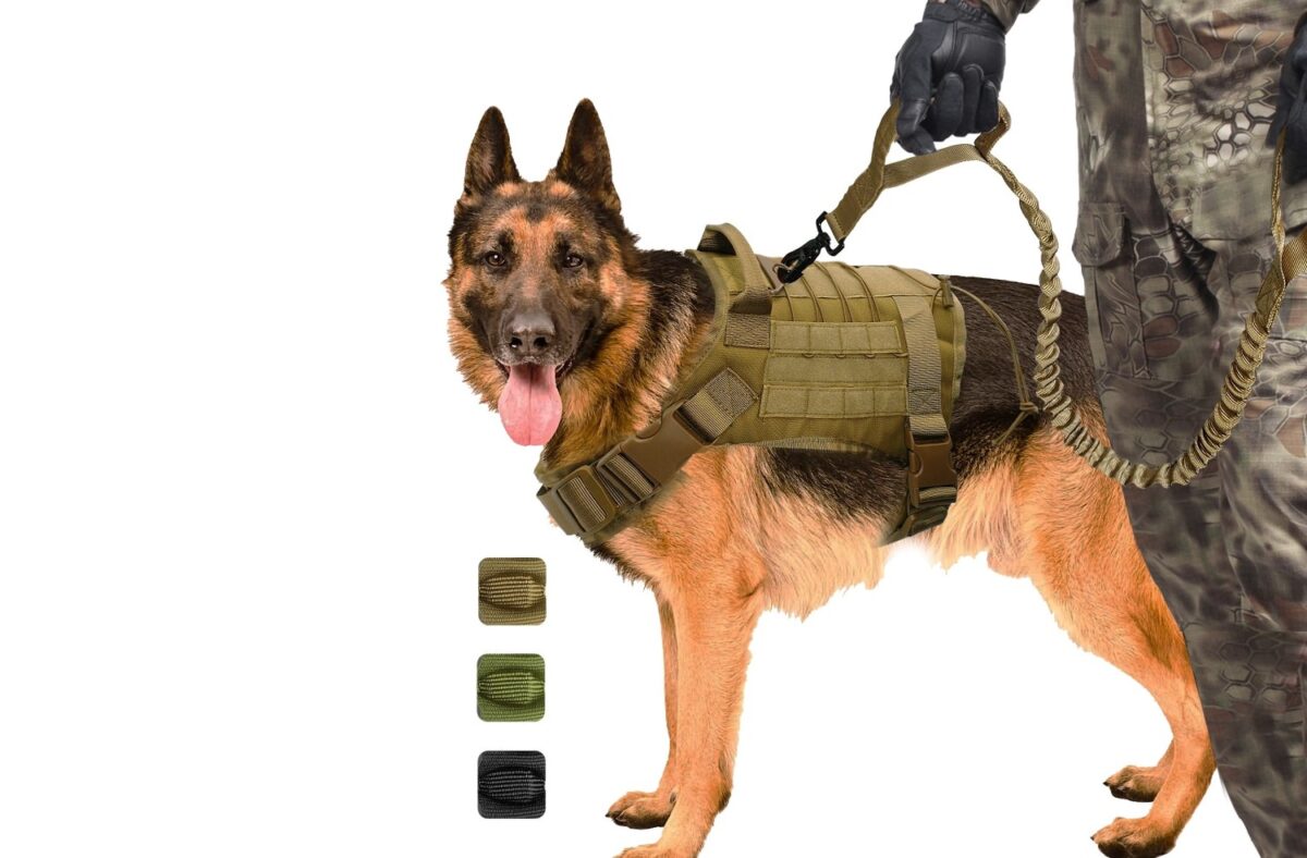 Tactical Harness for dogs