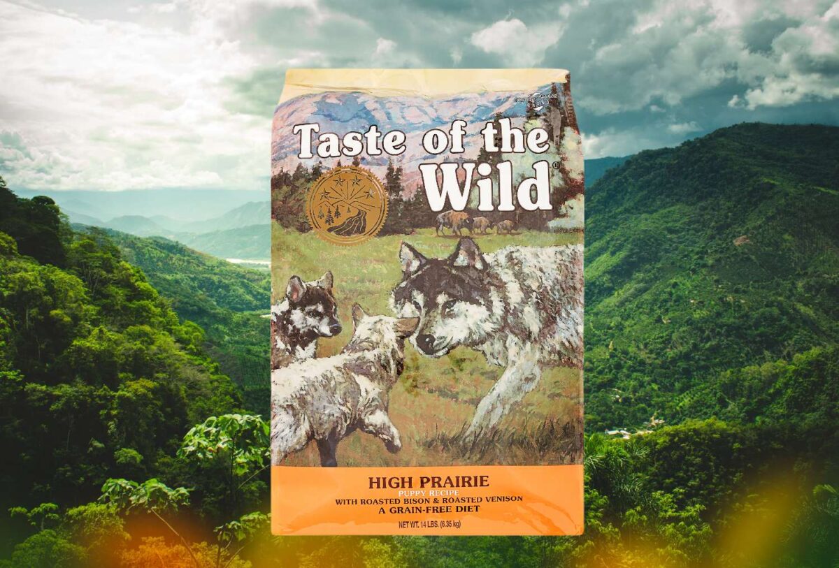 Taste Of The Wild Puppy Food Review